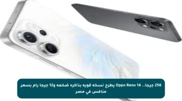 256 جيجا.. Oppo Reno 14 يطرح نسخة قوية بذاكرة ضخمة و12 جيجا رام بسعر منافس في مصر